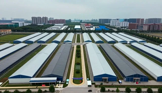 系统稳定性维护中的技术实践与日常管理建议